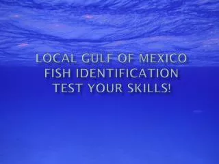 Local Gulf of Mexico fish identification Test YOUR SKILLS!