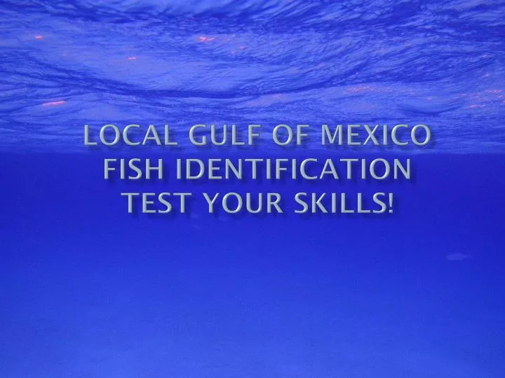 local gulf of mexico fish identification test your skills