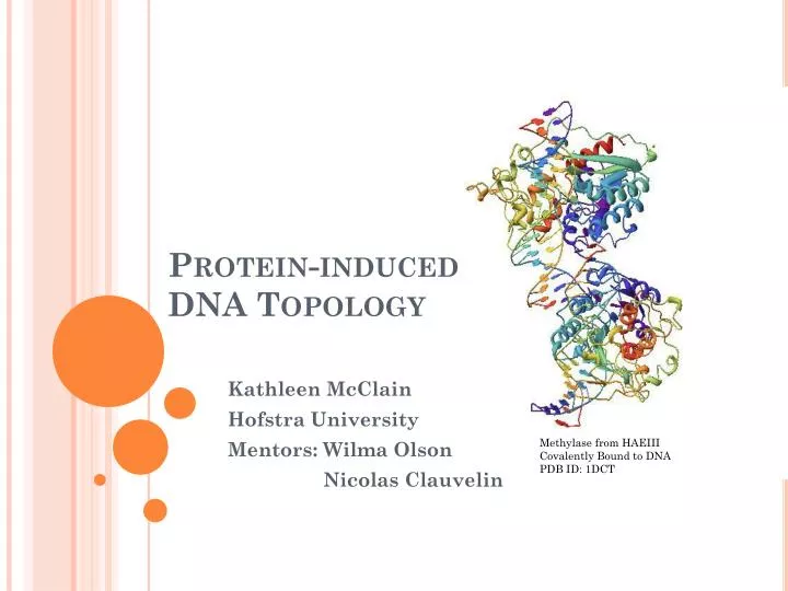 protein induced dna topology