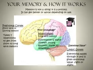 Your memory &amp; How it Works