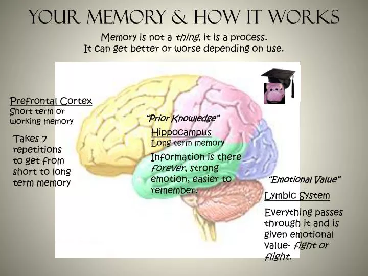 your memory how it works