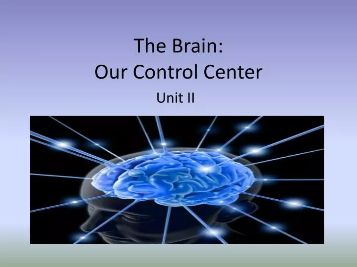 the brain our control center