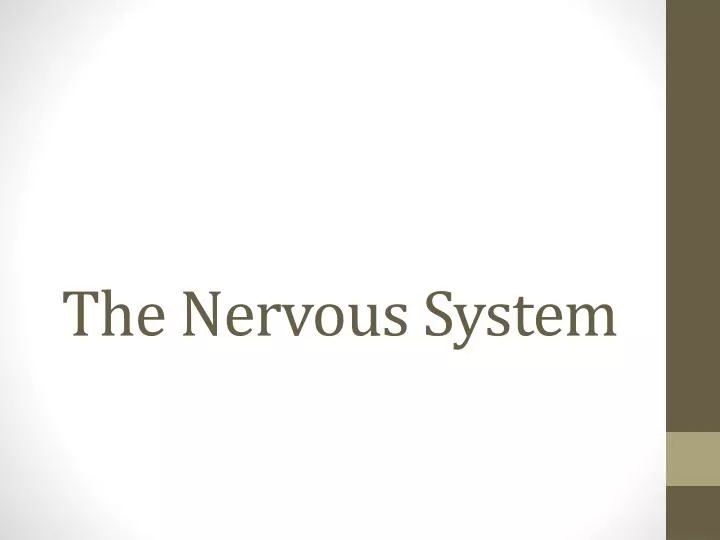 the nervous system