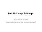 PPT - Lumps And Bumps PowerPoint Presentation, Free Download - ID:705436