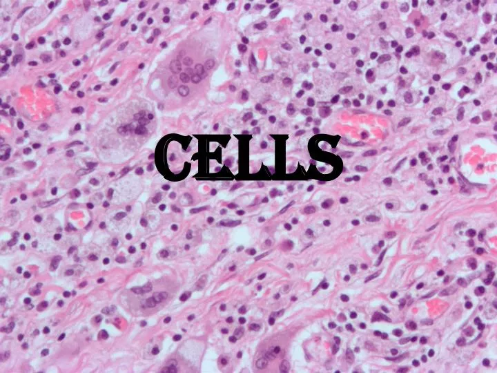 cells