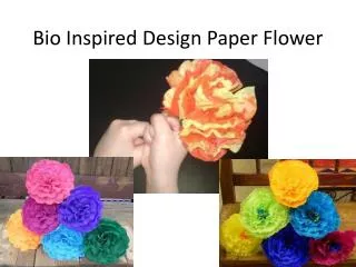 Bio Inspired Design Paper Flower