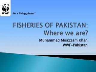 FISHERIES OF PAKISTAN: Where we are?