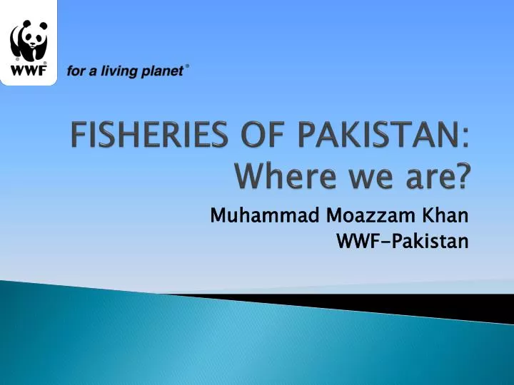 fisheries of pakistan where we are