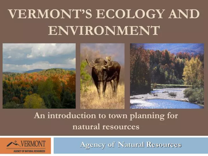 vermont s ecology and environment