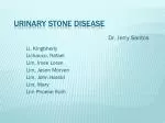 Urinary Stone Disease - slide 1