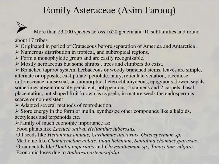 family asteraceae asim farooq