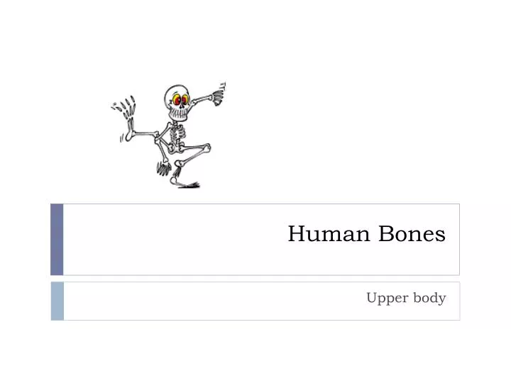 Ppt Human Bones Powerpoint Presentation Free Download Id2312717
