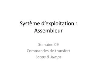 syst me d exploitation assembleur