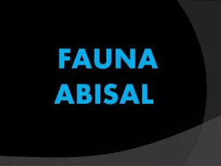 fauna abisal