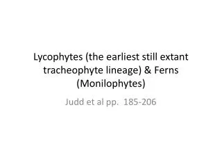 Lycophytes (the earliest still extant tracheophyte lineage) &amp; Ferns ( Monilophytes )