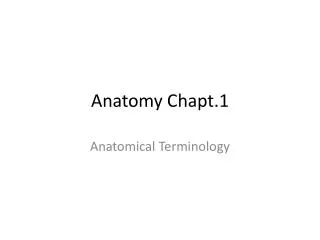 Anatomy Chapt.1