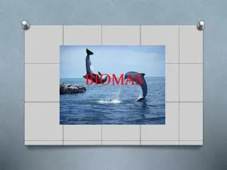 biomas