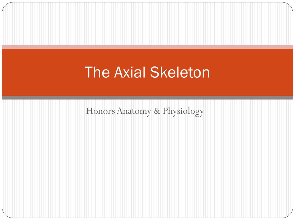 PPT - The Axial Skeleton PowerPoint Presentation, free download - ID ...