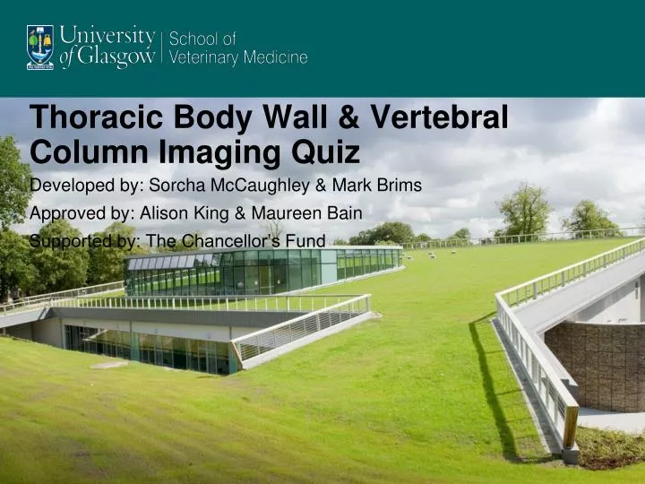 thoracic body wall vertebral column imaging quiz