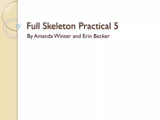 Full Skeleton Practical 5