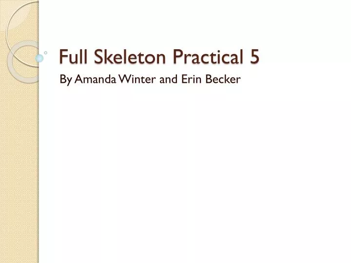 full skeleton practical 5