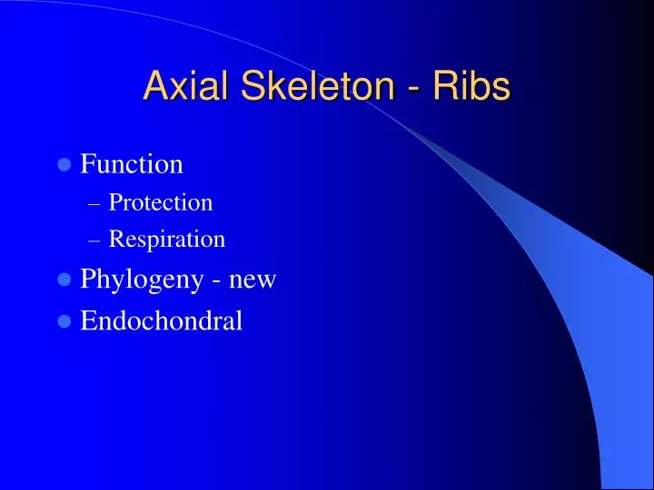 axial skeleton ribs