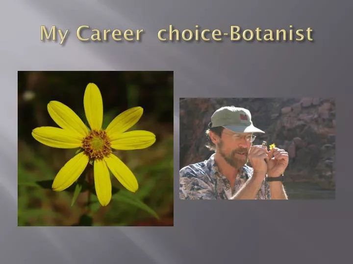 my career choice botanist