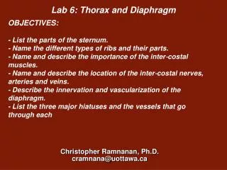 Lab 6: Thorax and Diaphragm