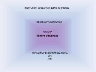 INSTITUCIÒN EDUCATIVA SILVINO RODRIGUEZ