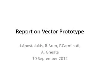 Report on Vector Prototype