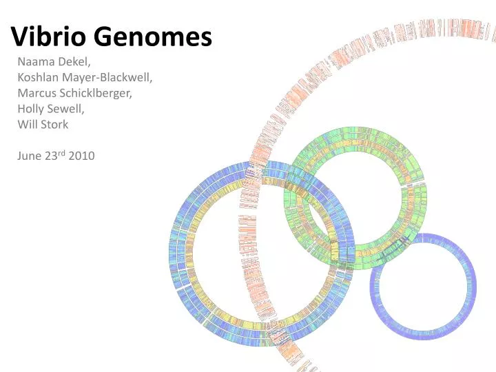 vibrio genomes