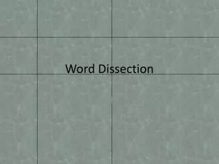 Word Dissection