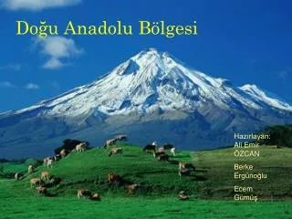 do u anadolu b lgesi