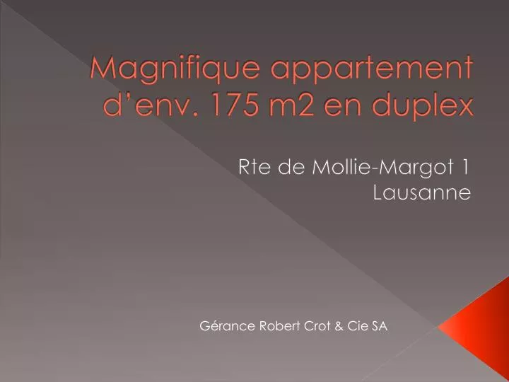 magnifique appartement d env 175 m2 en duplex