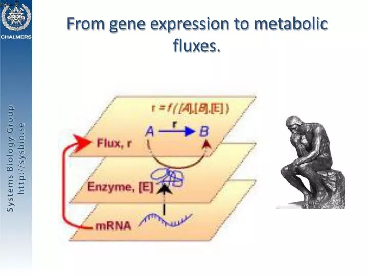 from gene expression to metabolic fluxes