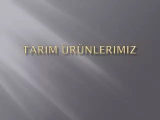 tar m r nlerimiz