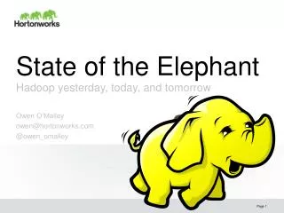 State of the Elephant