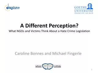 A Different Perception? What NGOs and Victims Think About a Hate Crime Legislation