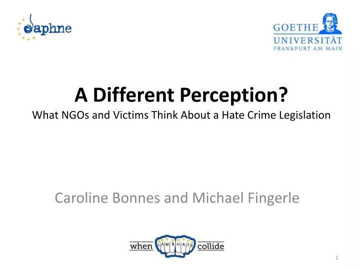 a different perception what ngos and victims think about a hate crime legislation