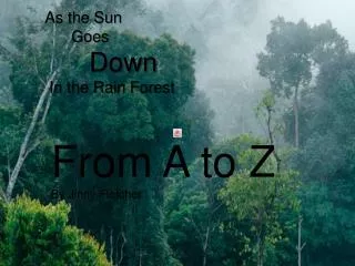As the Sun Goes Down In the Rain Forest