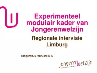 experimenteel modulair kader van jongerenwelzijn