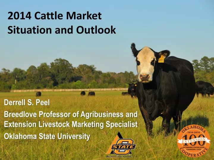 2014 cattle market situation and outlook