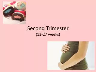 Second Trimester (13-27 weeks)
