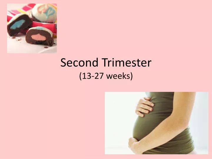 second trimester 13 27 weeks
