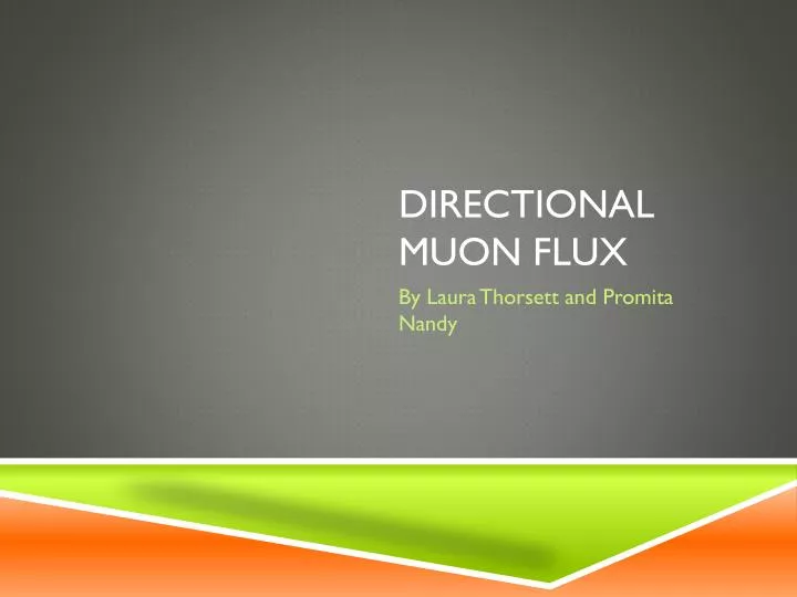 directional muon flux