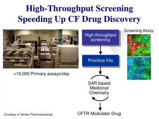 high throughput screening speeding up cf drug discovery