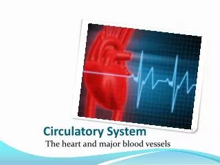 circulatory system