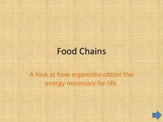 Food Chains