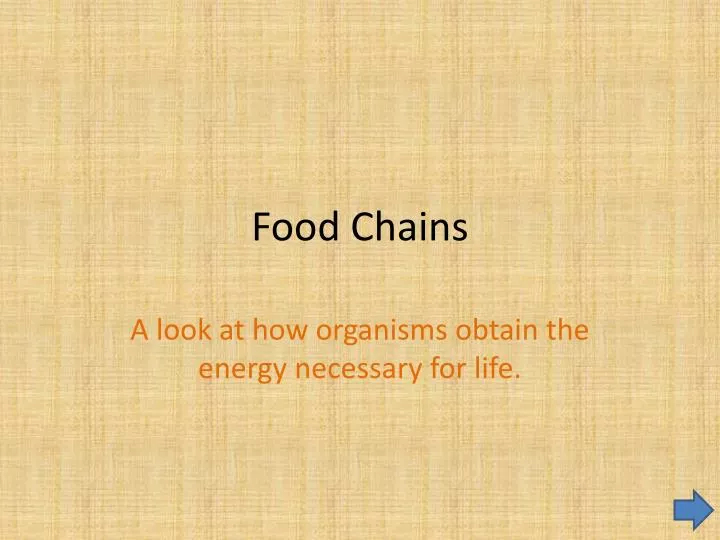 food chains