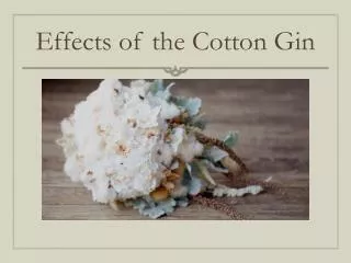 effects of the cotton gin